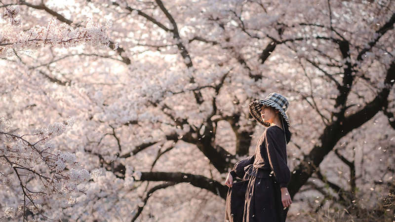 桜フォト祭り セミナー講師登壇