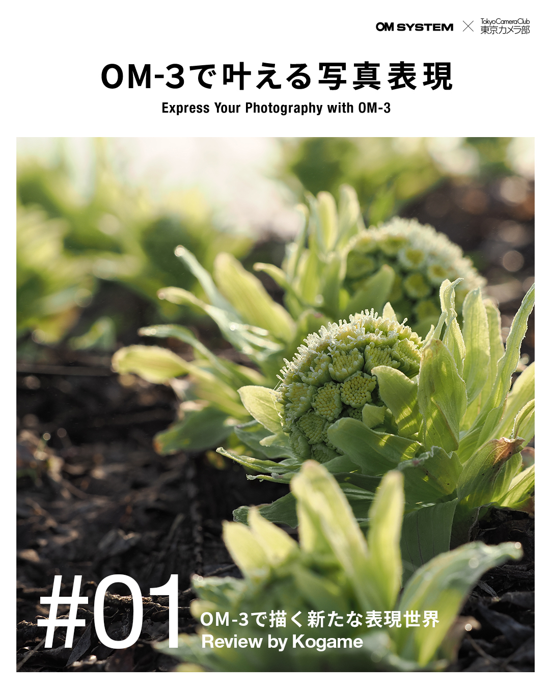 OM SYSTEM OM-3 コラボレーション